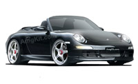  20" Porsche  997 Carrera GT Wheels